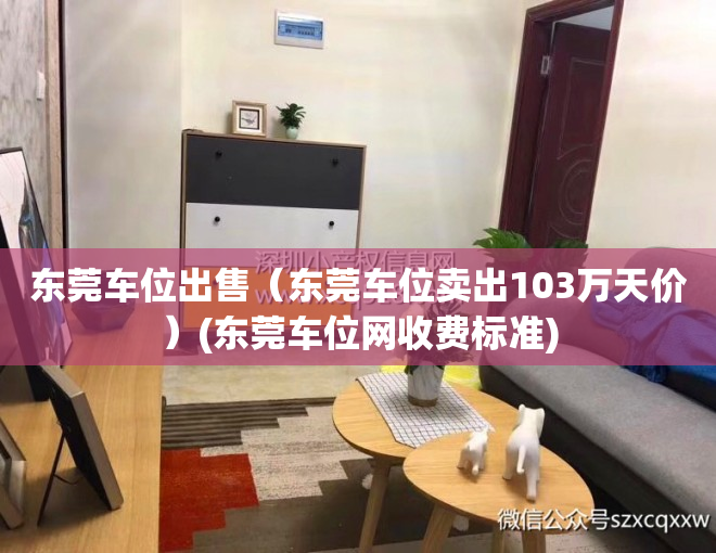东莞车位出售（东莞车位卖出103万天价）(东莞车位网收费标准)