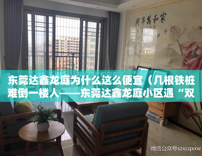 东莞达鑫龙庭为什么这么便宜（几根铁桩难倒一楼人——东莞达鑫龙庭小区遇“双重停车费”问题）