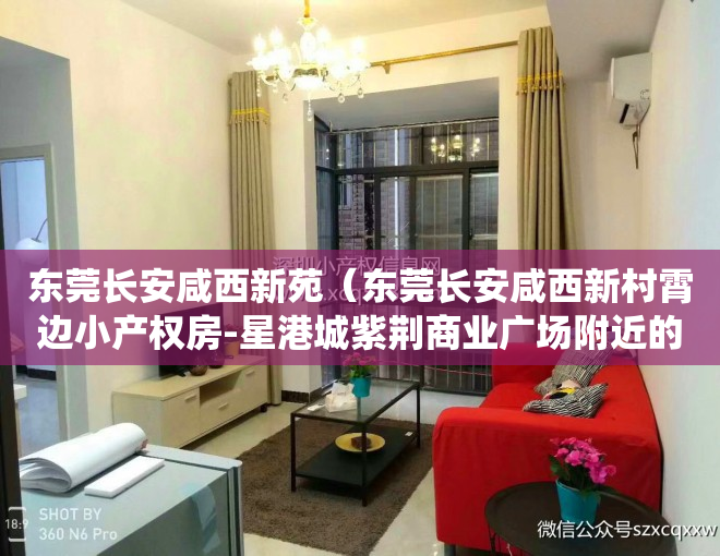 东莞长安咸西新苑（东莞长安咸西新村霄边小产权房-星港城紫荆商业广场附近的统建楼-莲城雅苑）