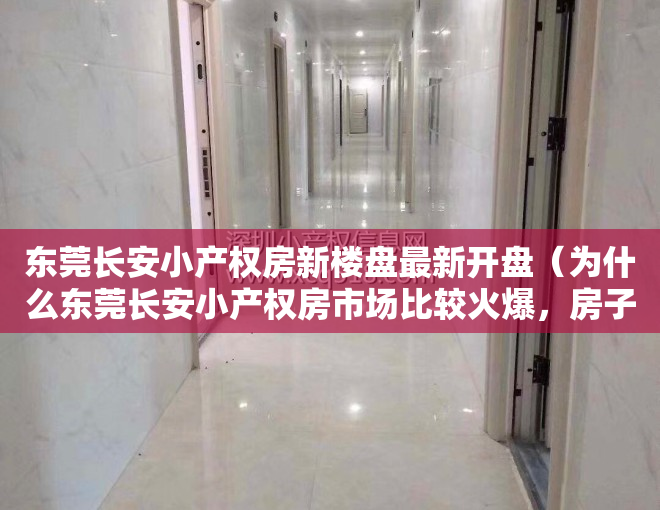 东莞长安小产权房新楼盘最新开盘（为什么东莞长安小产权房市场比较火爆，房子都很抢手？）