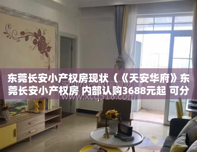 东莞长安小产权房现状（《天安华府》东莞长安小产权房 内部认购3688元起 可分期3年）