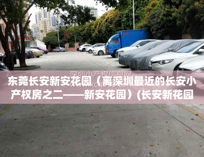 东莞长安新安花园（离深圳最近的长安小产权房之二——新安花园）(长安新花园房价走势图)