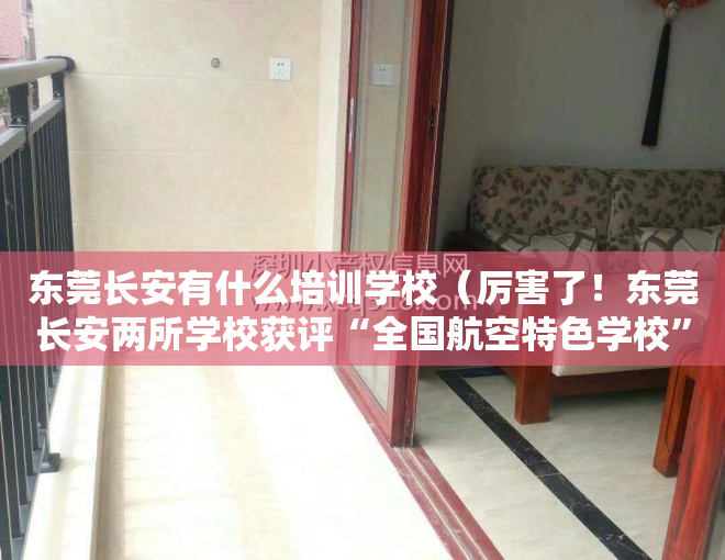 东莞长安有什么培训学校（厉害了！东莞长安两所学校获评“全国航空特色学校”）