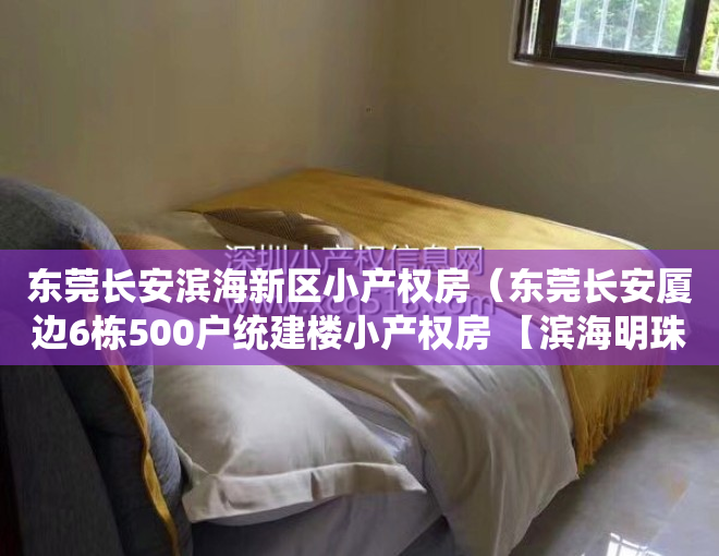 东莞长安滨海新区小产权房（东莞长安厦边6栋500户统建楼小产权房 【滨海明珠】花园   带车库）