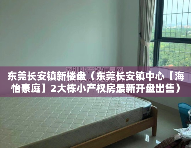 东莞长安镇新楼盘（东莞长安镇中心【海怡豪庭】2大栋小产权房最新开盘出售）