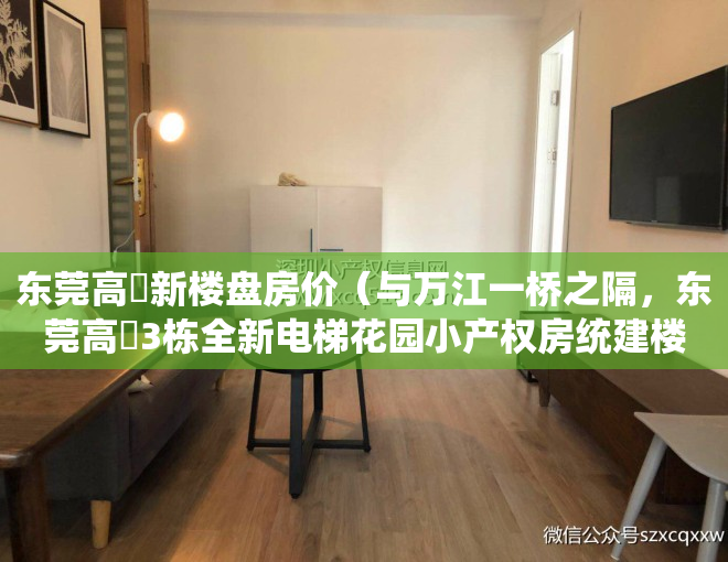 东莞高埗新楼盘房价（与万江一桥之隔，东莞高埗3栋全新电梯花园小产权房统建楼（蓝湾半岛）天然气入户，带车库特价4580元起）