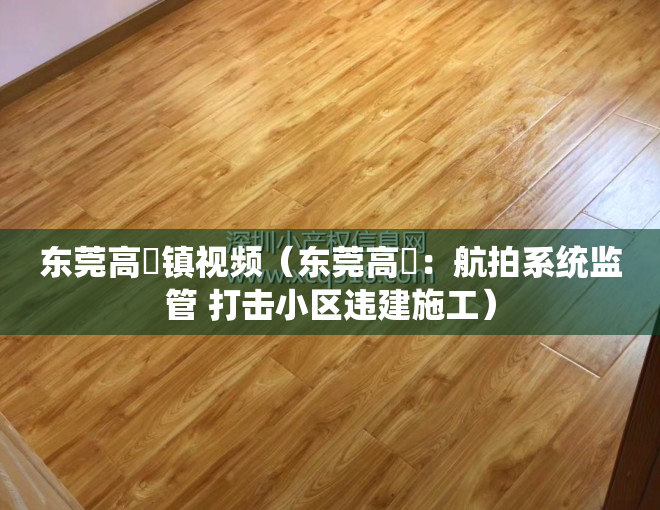 东莞高埗镇视频（东莞高埗：航拍系统监管 打击小区违建施工）