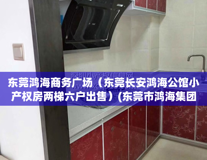 东莞鸿海商务广场（东莞长安鸿海公馆小产权房两梯六户出售）(东莞市鸿海集团有限公司)