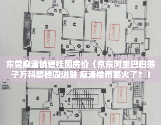 东莞麻涌镇碧桂园房价（京东阿里巴巴落子万科碧桂园进驻 麻涌楼市要火了？）