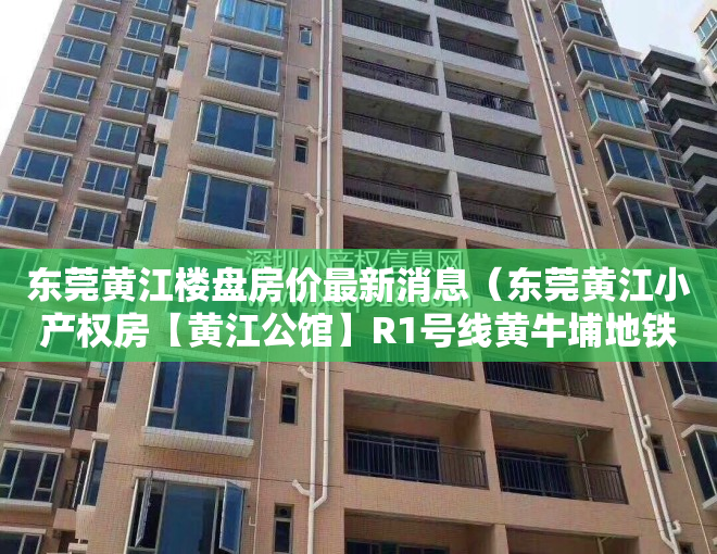 东莞黄江楼盘房价最新消息（东莞黄江小产权房【黄江公馆】R1号线黄牛埔地铁口零距离）