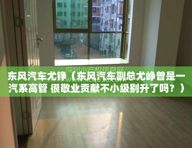 东风汽车尤铮（东风汽车副总尤峥曾是一汽系高管 很敬业贡献不小级别升了吗？）