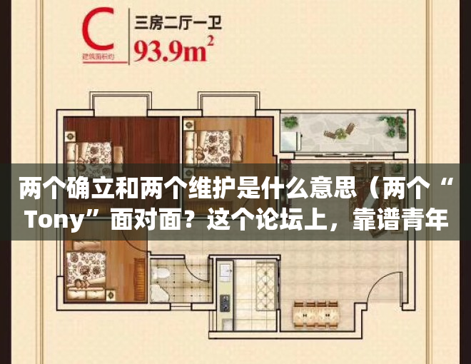 两个确立和两个维护是什么意思（两个“Tony”面对面？这个论坛上，靠谱青年“店小二”分享助企服务故事）