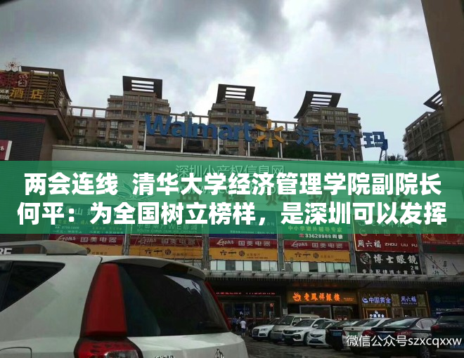 两会连线  清华大学经济管理学院副院长何平：为全国树立榜样，是深圳可以发挥的最大作用