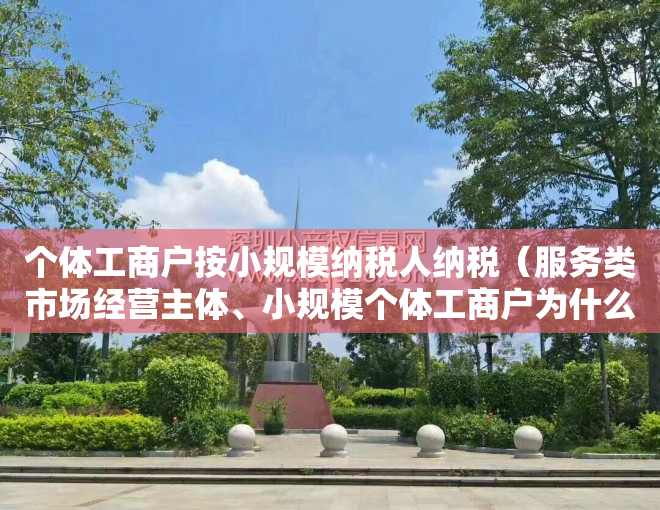 个体工商户按小规模纳税人纳税（服务类市场经营主体、小规模个体工商户为什么这么火？）