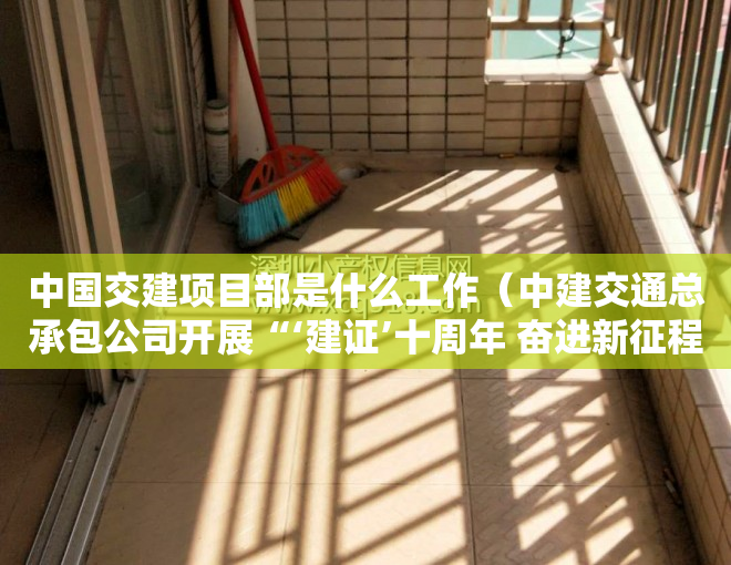 中国交建项目部是什么工作（中建交通总承包公司开展“‘建证’十周年 奋进新征程”党员职工“三亮”活动）