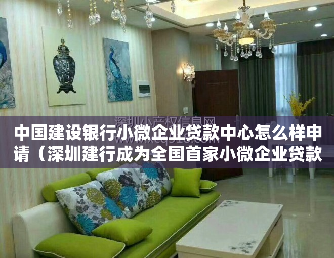 中国建设银行小微企业贷款中心怎么样申请（深圳建行成为全国首家小微企业贷款超3000亿元的分行）