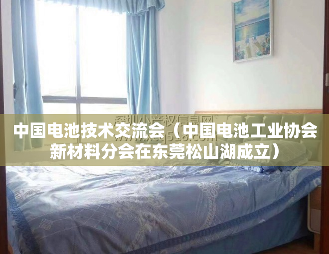 中国电池技术交流会（中国电池工业协会新材料分会在东莞松山湖成立）