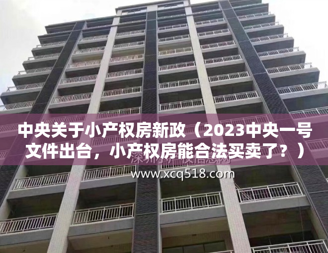 中央关于小产权房新政（2023中央一号文件出台，小产权房能合法买卖了？）