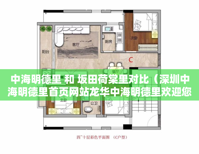 中海明德里 和 坂田荷棠里对比（深圳中海明德里首页网站龙华中海明德里欢迎您户型房价楼盘详情）