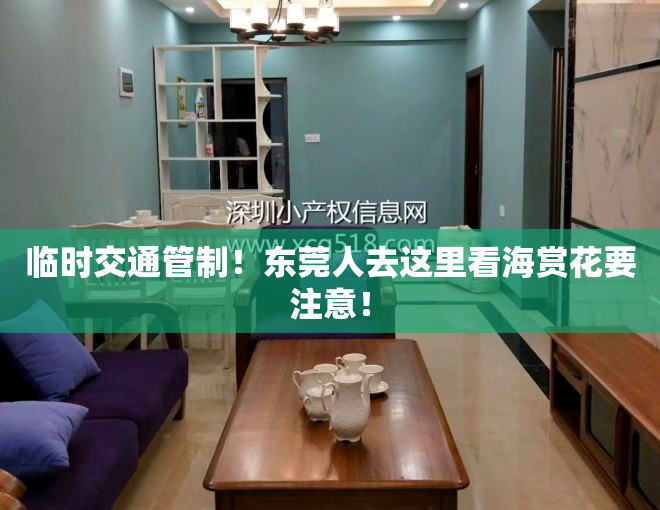 临时交通管制！东莞人去这里看海赏花要注意！