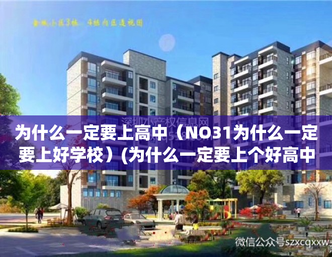 为什么一定要上高中（NO31为什么一定要上好学校）(为什么一定要上个好高中)