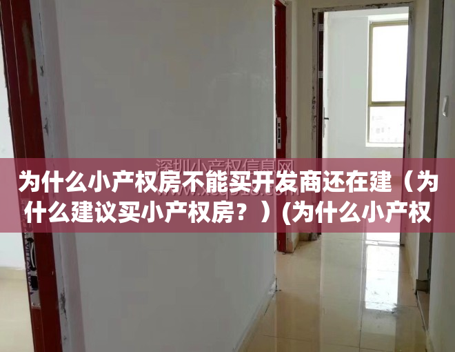 为什么小产权房不能买开发商还在建（为什么建议买小产权房？）(为什么小产权的房子不能买)