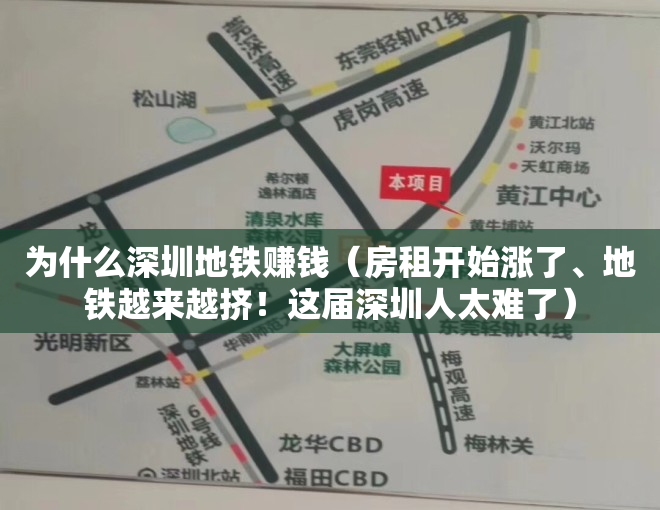 为什么深圳地铁赚钱（房租开始涨了、地铁越来越挤！这届深圳人太难了）