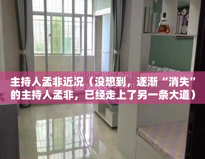 主持人孟非近况（没想到，逐渐“消失”的主持人孟非，已经走上了另一条大道）