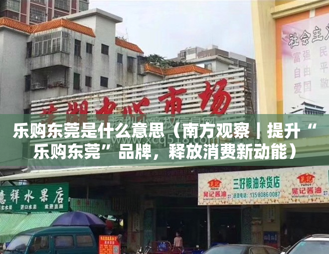 乐购东莞是什么意思（南方观察｜提升“乐购东莞”品牌，释放消费新动能）