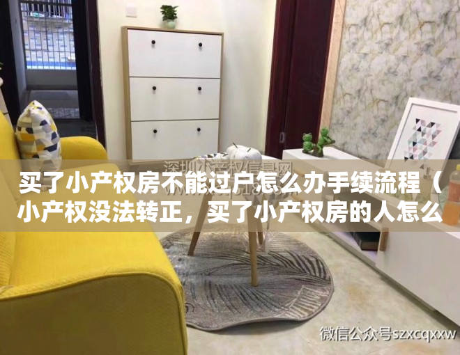 买了小产权房不能过户怎么办手续流程（小产权没法转正，买了小产权房的人怎么办？其实还有三种转型方式）