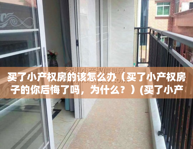 买了小产权房的该怎么办（买了小产权房子的你后悔了吗，为什么？）(买了小产权房的市民将来怎么办)