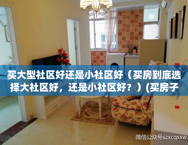 买大型社区好还是小社区好（买房到底选择大社区好，还是小社区好？）(买房子,选小而精的小型社区,还是大而全的大型社区好?)