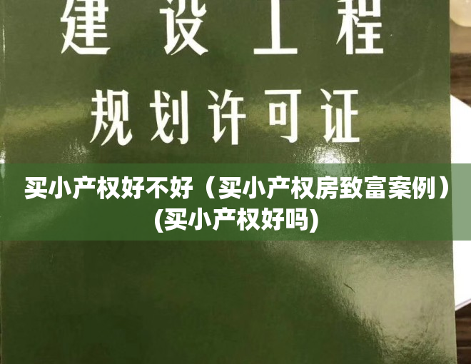 买小产权好不好（买小产权房致富案例）(买小产权好吗)