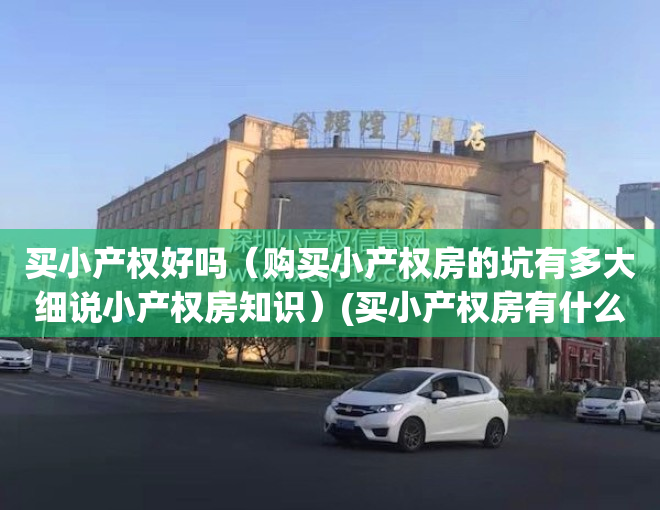 买小产权好吗（购买小产权房的坑有多大细说小产权房知识）(买小产权房有什么风险产权房)