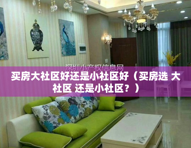 买房大社区好还是小社区好（买房选 大社区 还是小社区？）
