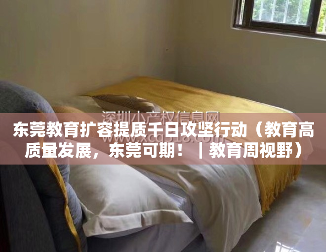 东莞教育扩容提质千日攻坚行动（教育高质量发展，东莞可期！｜教育周视野）