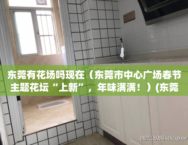 东莞有花场吗现在（东莞市中心广场春节主题花坛“上新”，年味满满！）(东莞哪里有花场)