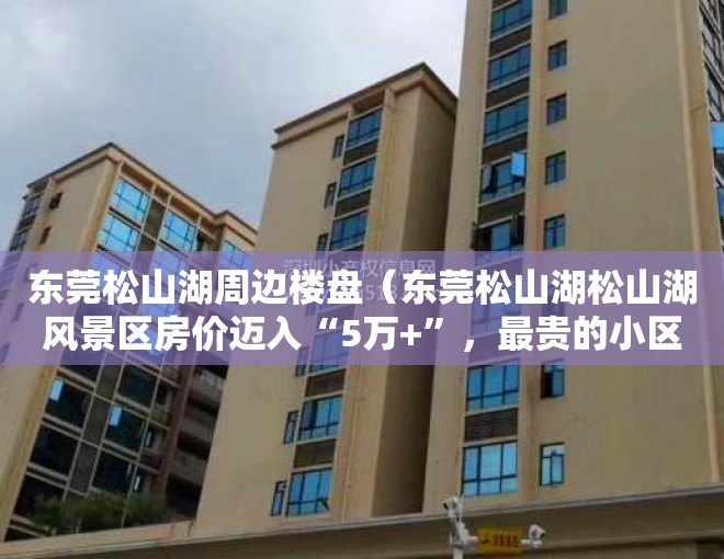 东莞松山湖周边楼盘（东莞松山湖松山湖风景区房价迈入“5万+”，最贵的小区均价超过7万平）