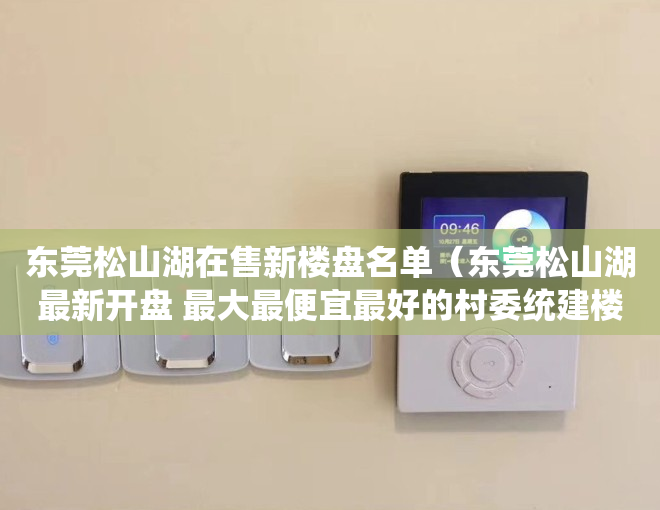 东莞松山湖在售新楼盘名单（东莞松山湖最新开盘 最大最便宜最好的村委统建楼 松山湖大朗小产权可靠吗？）