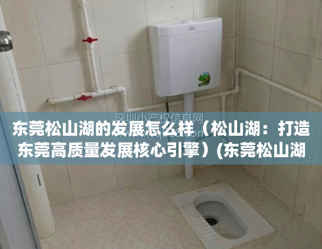 东莞松山湖的发展怎么样（松山湖：打造东莞高质量发展核心引擎）(东莞松山湖发展规划)