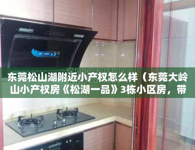 东莞松山湖附近小产权怎么样（东莞大岭山小产权房《松湖一品》3栋小区房，带车库，可分期10年）