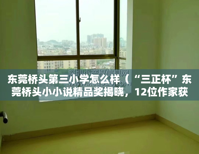东莞桥头第三小学怎么样（“三正杯”东莞桥头小小说精品奖揭晓，12位作家获奖）