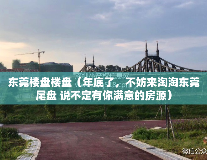 东莞楼盘楼盘（年底了，不妨来淘淘东莞尾盘 说不定有你满意的房源）