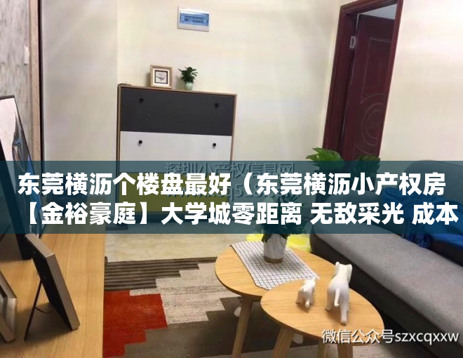 东莞横沥个楼盘最好（东莞横沥小产权房【金裕豪庭】大学城零距离 无敌采光 成本价2600元平）