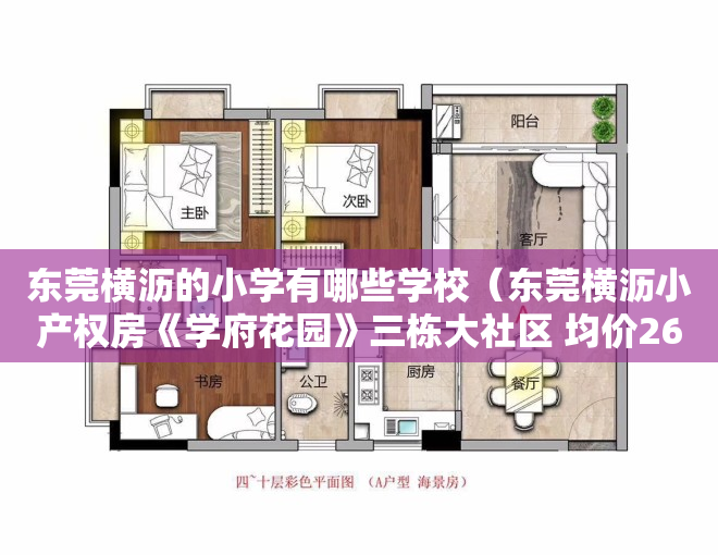 东莞横沥的小学有哪些学校（东莞横沥小产权房《学府花园》三栋大社区 均价2680元）