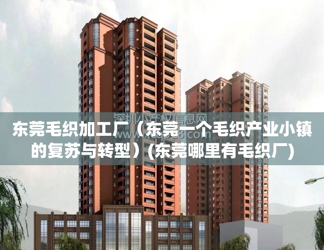 东莞毛织加工厂（东莞一个毛织产业小镇的复苏与转型）(东莞哪里有毛织厂)
