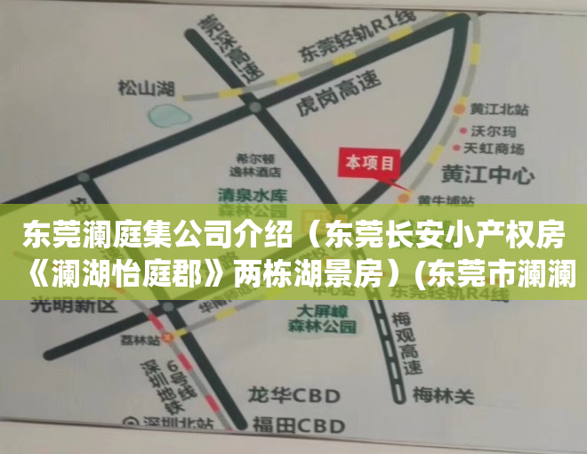 东莞澜庭集公司介绍（东莞长安小产权房《澜湖怡庭郡》两栋湖景房）(东莞市澜澜贸易项目)