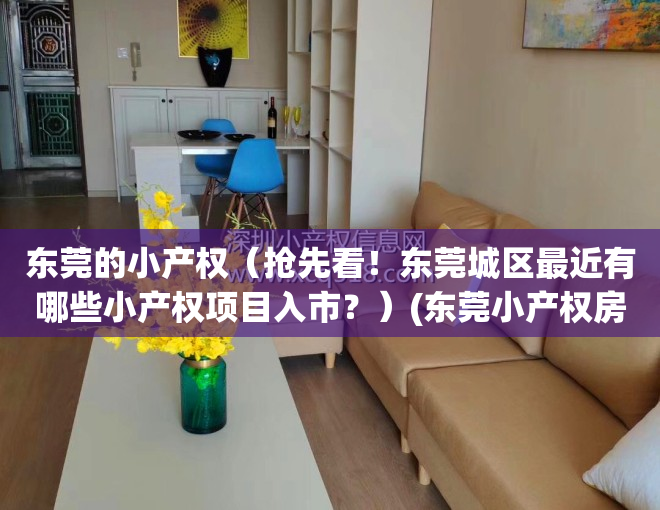 东莞的小产权（抢先看！东莞城区最近有哪些小产权项目入市？）(东莞小产权房值得投资吗)