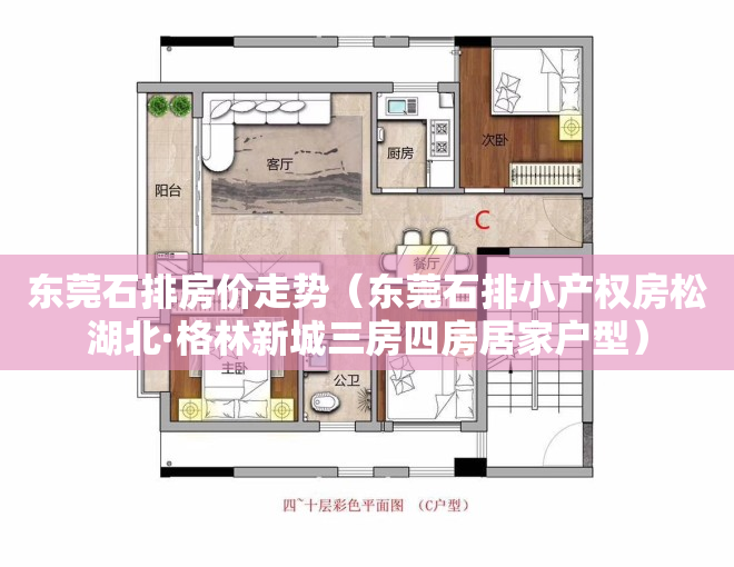 东莞石排房价走势（东莞石排小产权房松湖北·格林新城三房四房居家户型）