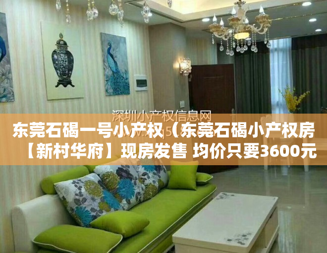 东莞石碣一号小产权（东莞石碣小产权房【新村华府】现房发售 均价只要3600元）
